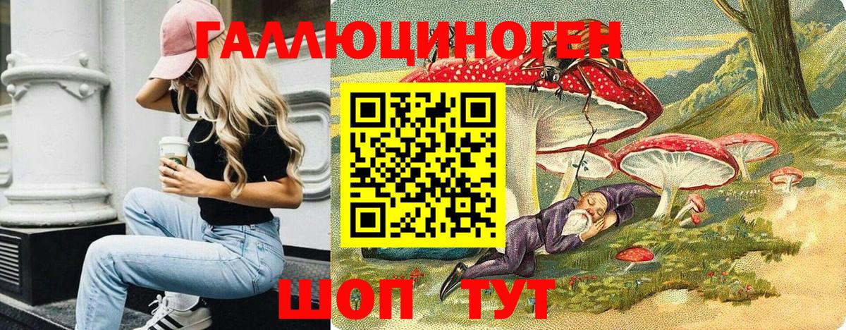 Александров  Псилоцибиновые грибы MAGIC MUSHROOMS  Вход с VPN  Псилоцибиновые грибы MAGIC MUSHROOMS 